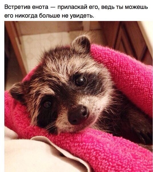 ����� � ��� ����� ����, ������ ������ � �����. �������, ��� � � ������������, � ��� ���� ���� ... - 9