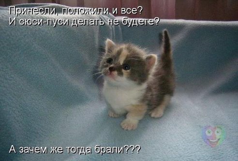    - 10  2015  11:16