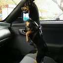 ������ Norb �� ������� ���� ����������