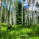      ,      .        ,     ,                 ...    