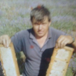 ���� ������, ����, 74 ���� - ��������� 28 ���� 2015