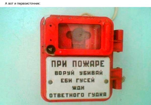        - 5