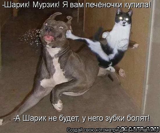   ))))