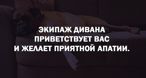 Экипаж дивана приветствует вас и желает приятного отдыха