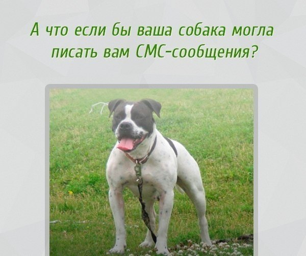   - 10  2015  10:03