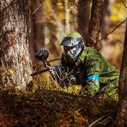 ������, ����-���������, 33 ����