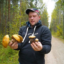 ���� ������, ������, 37 ��� - ��������� 8 ������� 2015