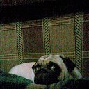 ���� ����, ���������, 60 ��� - ��������� 21 �������� 2015 � ������ ���� ����������