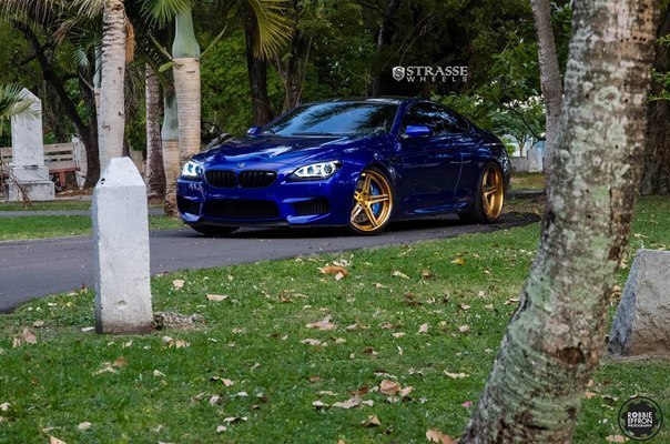 BMW M6 F13 - 6