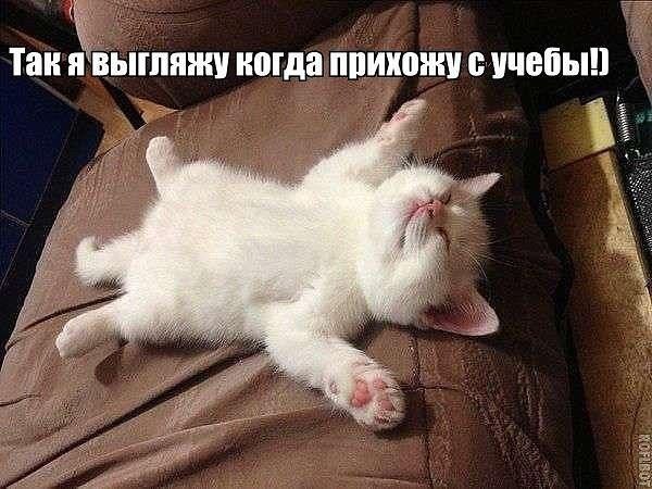 ☆   ☆ - 14  2015  04:07
