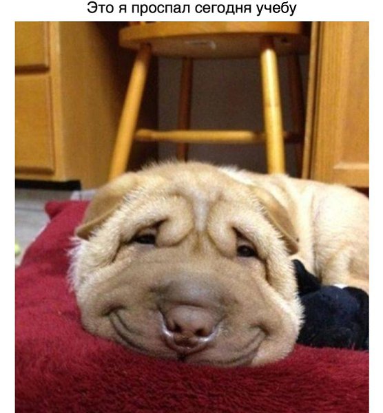  ,    . - 10