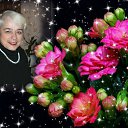  ,  , 70  -  22  2015    