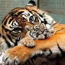  ********,  -  20  2015    