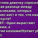 ���� Quiet, ������, 43 ���� - ��������� 16 ���� 2015 � ������ ������ ��������