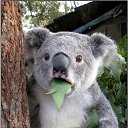 ����� ��������� � ������, � � ��������....... �� ������� ���� ����������