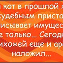 ���� �����, �����, 48 ��� - ��������� 20 ������� 2015 � ������ �11�
