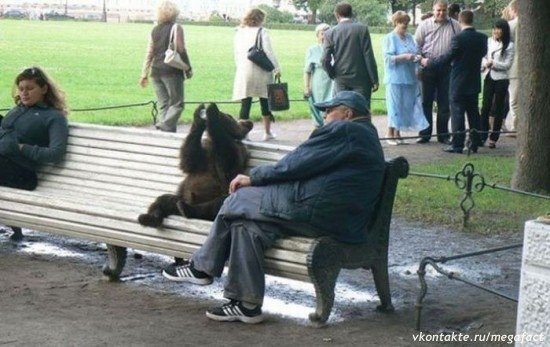 ���� ���� - 8