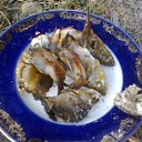 ���� ������, �����, 57 ��� - ��������� 30 ������� 2015 � ������ ���� ����������