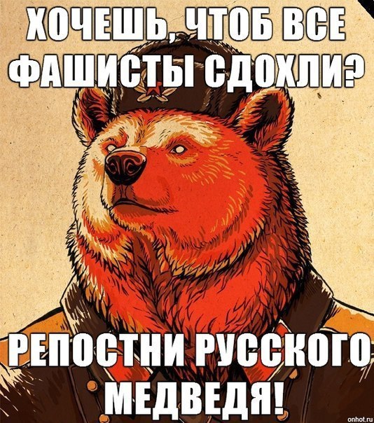    :D - 3  2015  08:41