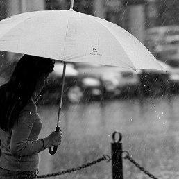 ���� �����, ������, 43 ���� - ��������� 13 ������� 2015