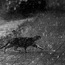 ���� Ri.u, ������ - ��������� 1 ��� 2015 � ������ ������ ��������