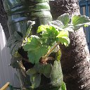 �������� ���� �������� �������� ���������� ������� ������! �� ������� ���������� ������: "������ ���������? ��������)))"�