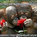 ���� �����, ������ - ��������� 12 ������� 2015 � ������ ������ ��������