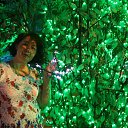 ���� ����, ����������, 52 ���� - ��������� 27 ���� 2015 � ������ ���� ����������