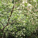 ���� ��������, ����, 76 ��� - ��������� 16 ���� 2015