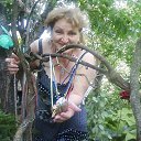 ���� Nataly, ��������� - ��������� 1 �������� 2015 � ������ �����