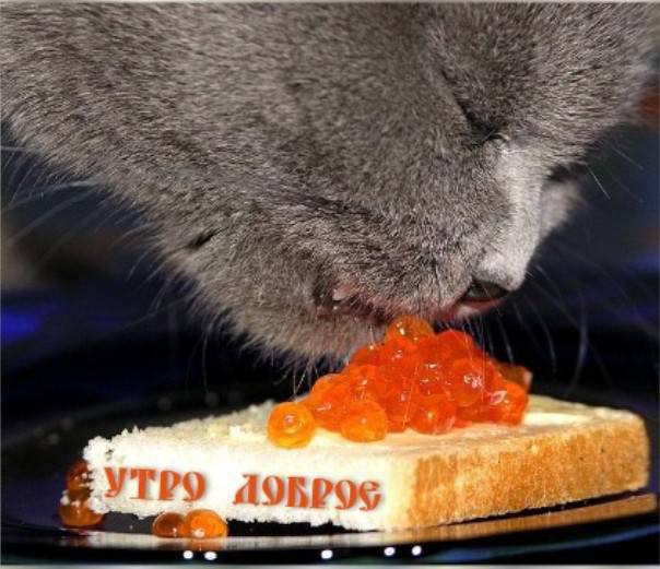 ������� �����������!