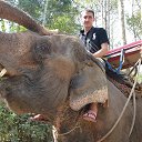 ���� �����, �������, 42 ���� - ��������� 21 ��� 2015 � ������ ���� ����������