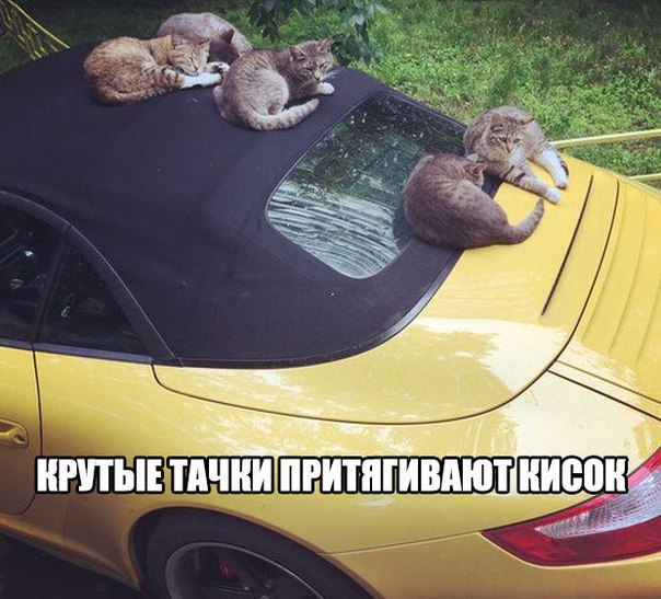  - 3  2015  20:05