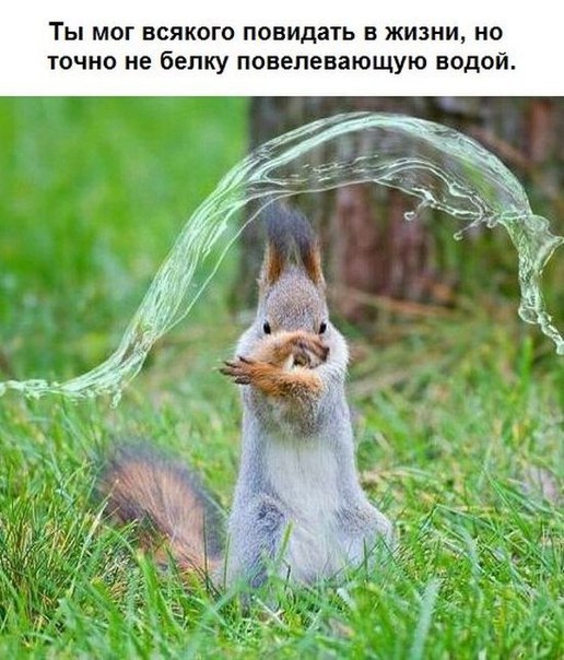    - 9  2015  16:33