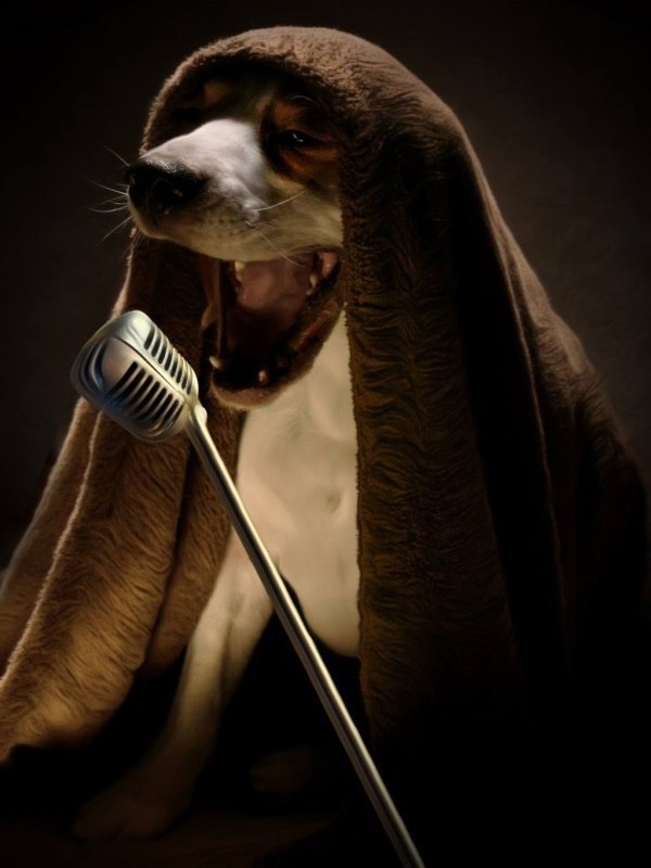  Christian Wolf. - 3