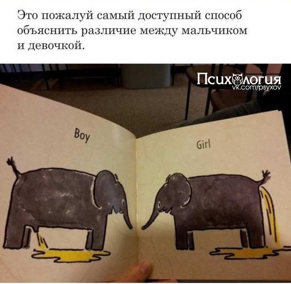 Иногда создатели детских книг не думают о том, как их продукт выглядит со стороны
