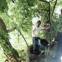  Cemali, , 41  -  1  2015   Zonguldak