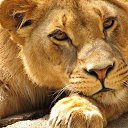 ���� �������, �����, 53 ���� - ��������� 2 ������� 2015 � ������ ������ ��������