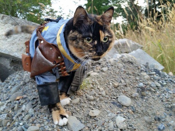     Fallout 4 - 5