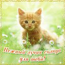 ���� ������, ���� - ��������� 15 ���� 2015 � ������ �������� ��������