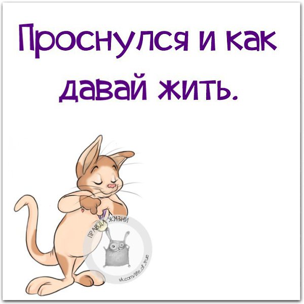  - 23  2015  13:43