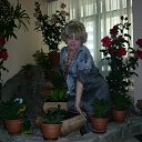 ���� R*****r, ������ - ��������� 13 ���� 2015 � ������ ���� ����������