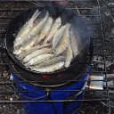 ����� ���� �� ����������� �������� ���� �� ������� ������ 2015�