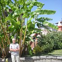  Edgard Nik., , 75  -  8  2015    2014.    