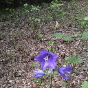 ���� ������, ����, 44 ���� - ��������� 22 ���� 2015 � ������ ������ ��������