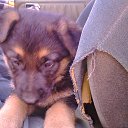 ���� ������, ���������, 57 ��� - ��������� 2 ���� 2015 � ������ ����������������