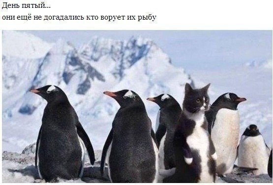 )
