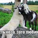 ���� ����, ������� - ��������� 29 ������� 2015 � ������ ���� ����������