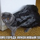 ���� �������, ����-�����������, 47 ��� - ��������� 27 ������ 2015 � ������ ������ ��������