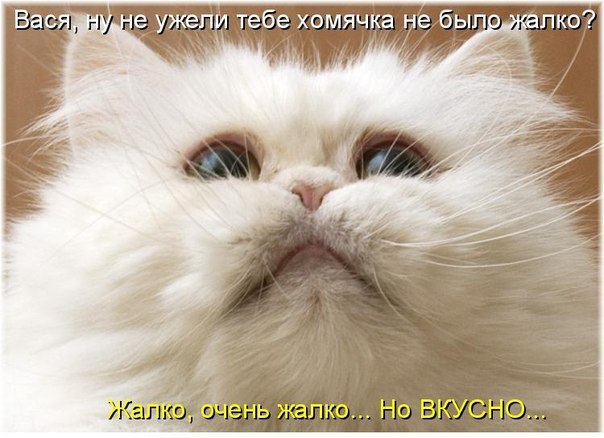       - 4  2015  07:05